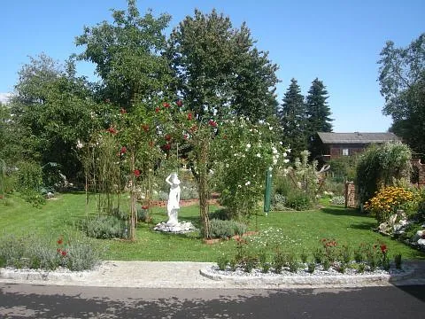 Arkadenhof Garten mit Bäumen