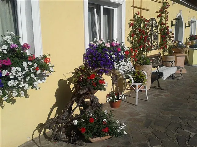 Topfpflanzen im Innenhof